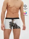 Мужские трусы боксеры / Наездница