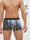 Мужские трусы боксеры / Древний город