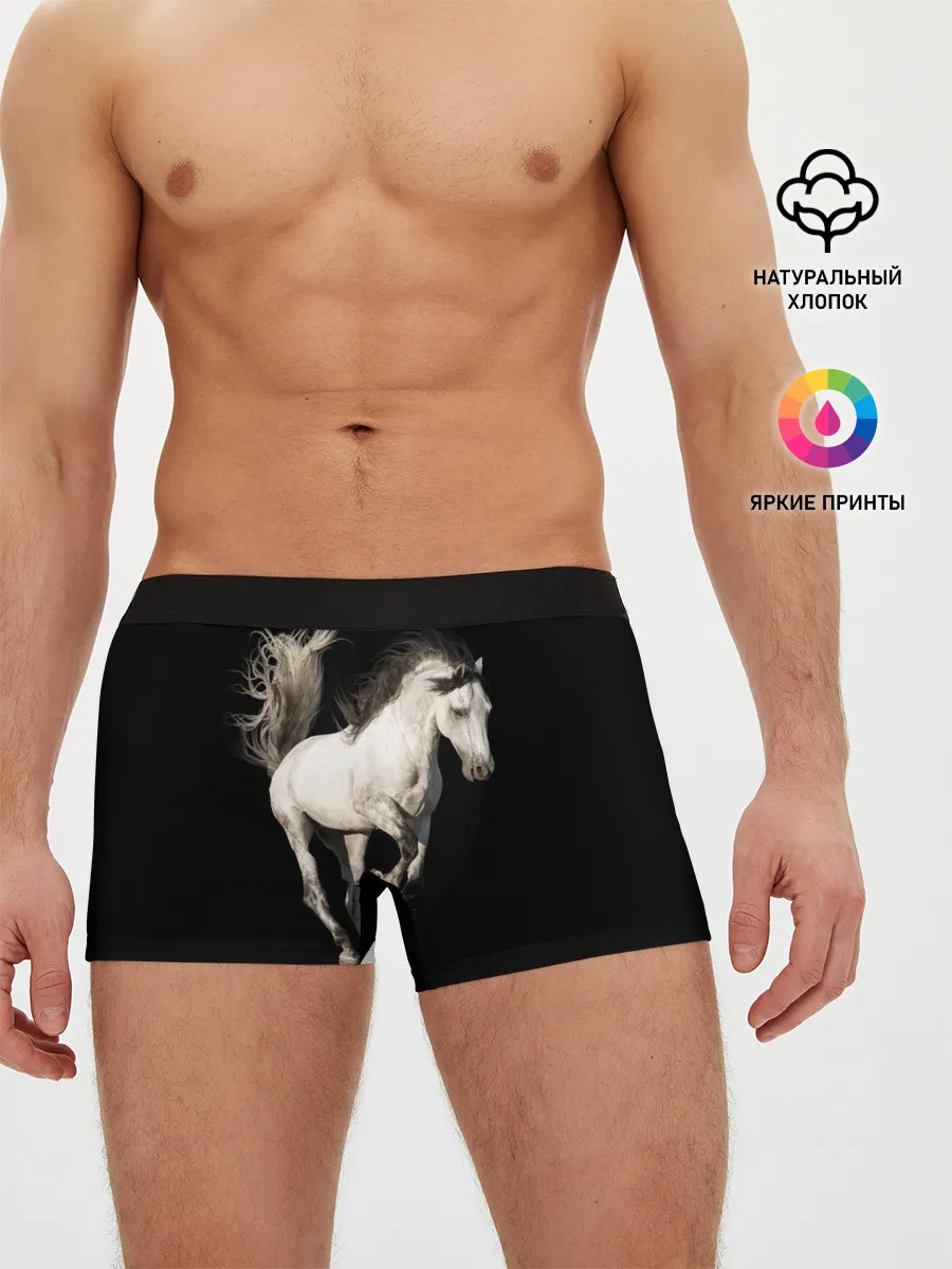 Мужские трусы боксеры / Серный в яблоках конь