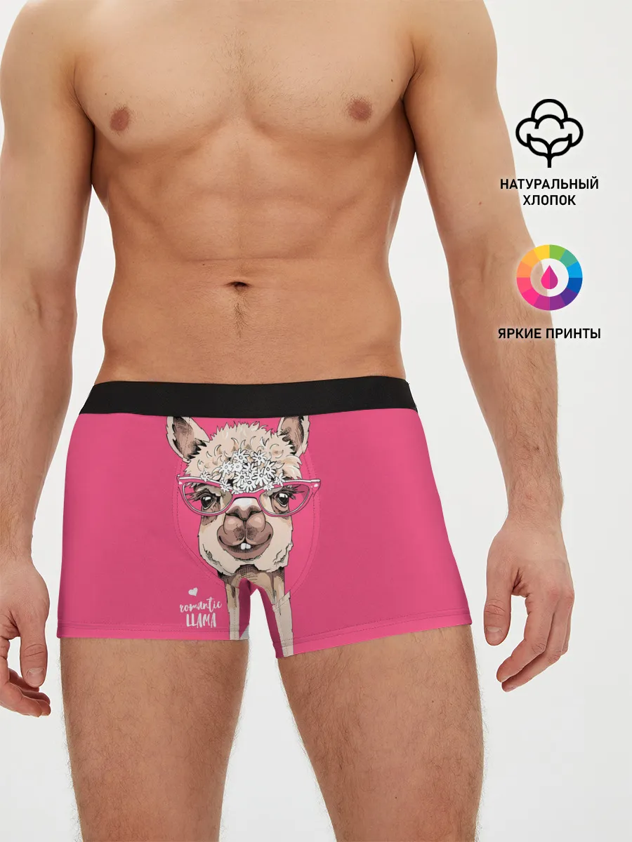 Мужские трусы боксеры / Romantic llama