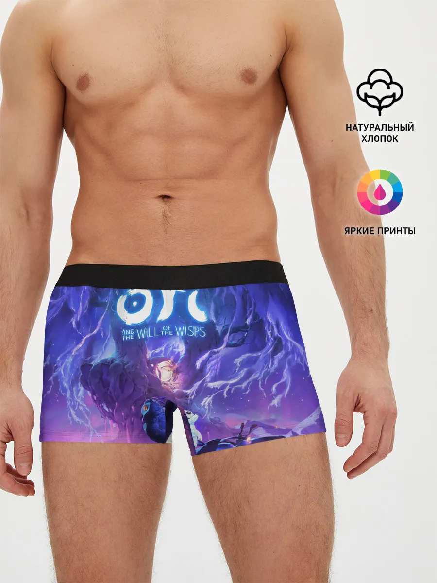 Мужские трусы боксеры / Ori - And The Will Of The Wisp