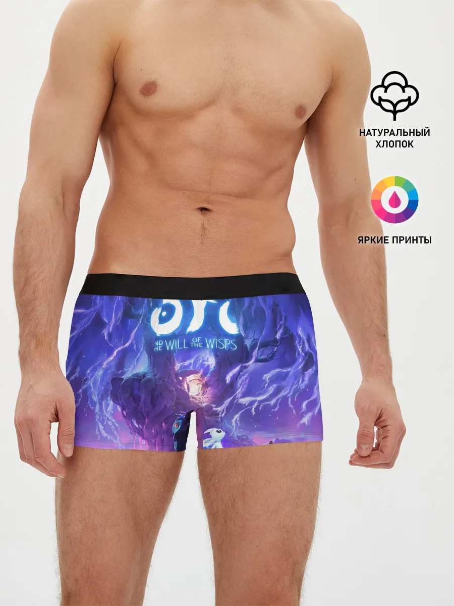 Мужские трусы боксеры / Ori - And The Will Of The Wisp