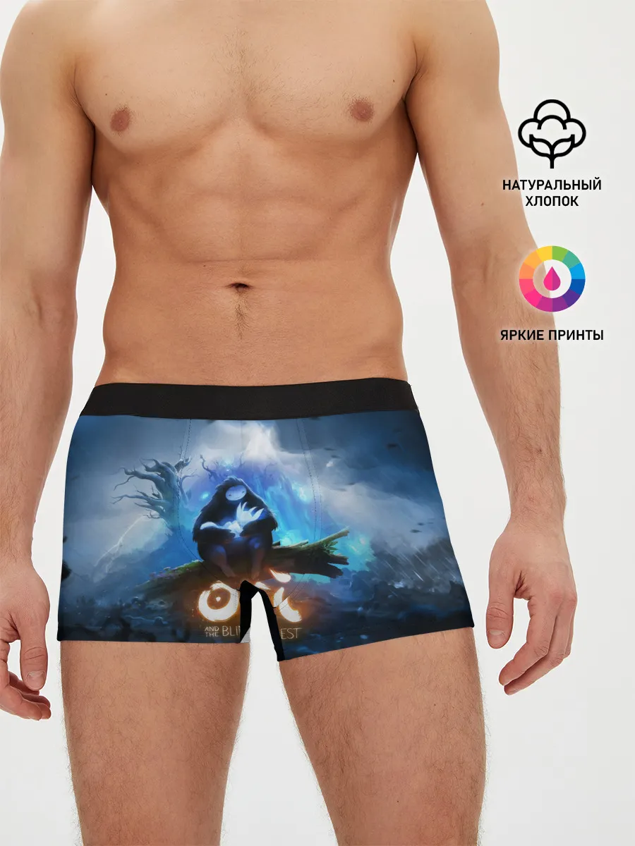 Мужские трусы боксеры / Ori - And The Will Of The Wisp