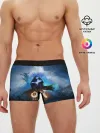 Мужские трусы боксеры / Ori - And The Will Of The Wisp