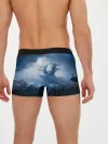 Мужские трусы боксеры / Ori - And The Will Of The Wisp