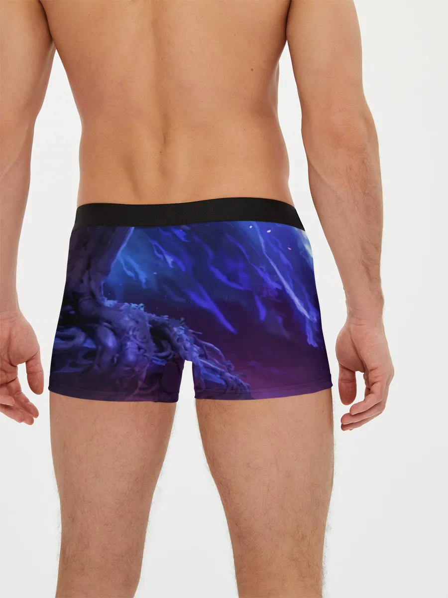 Мужские трусы боксеры / Ori and the Will of the Wisps