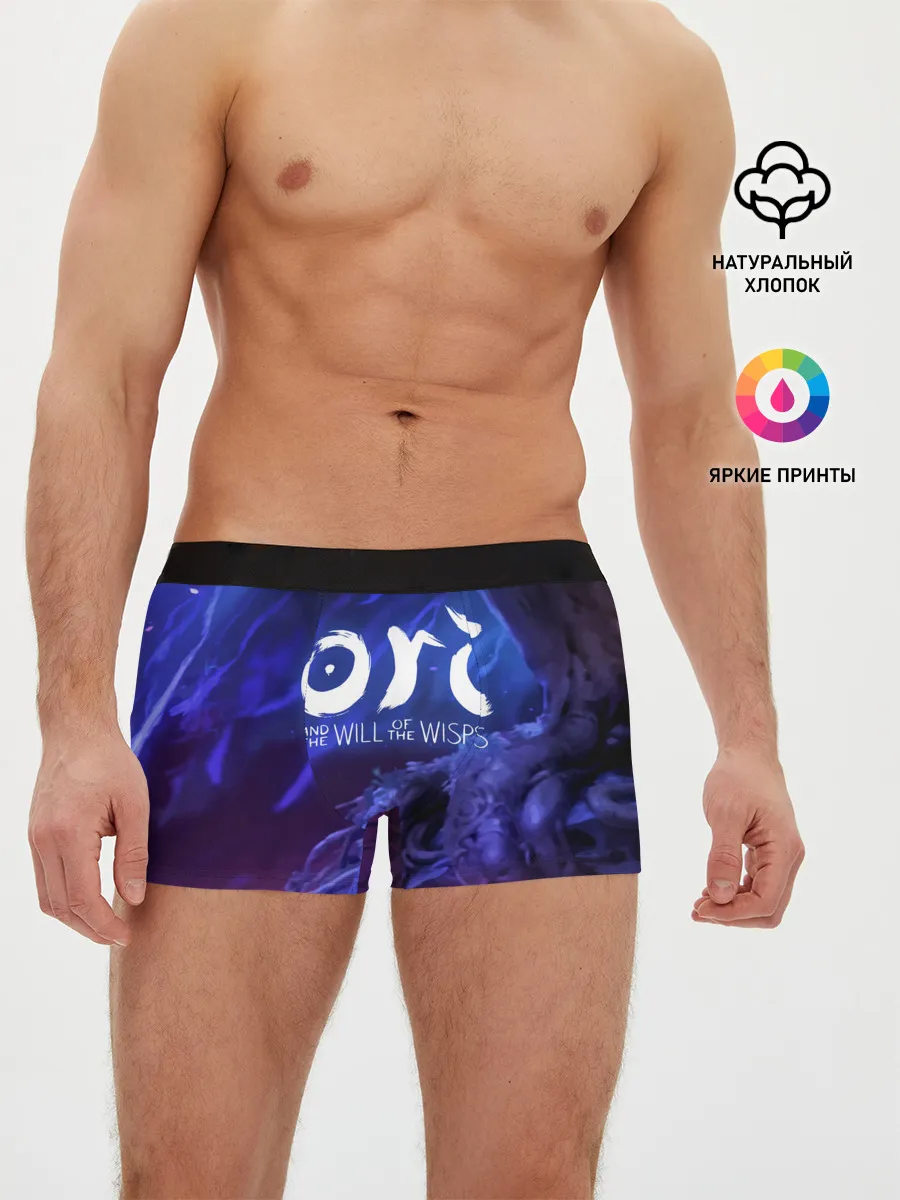 Мужские трусы боксеры / Ori and the Will of the Wisps