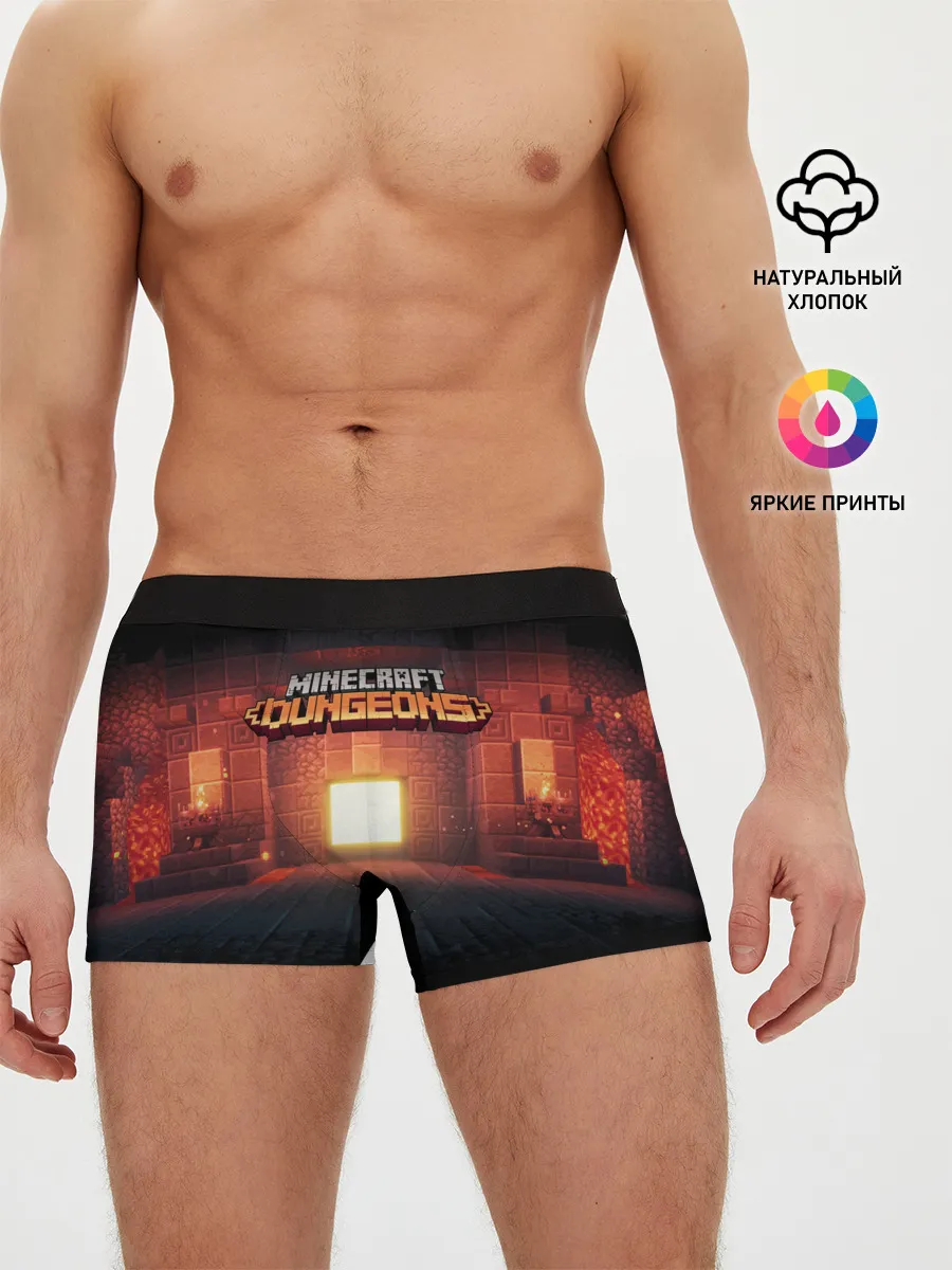 Мужские трусы боксеры / MINECRAFT: Dungeons
