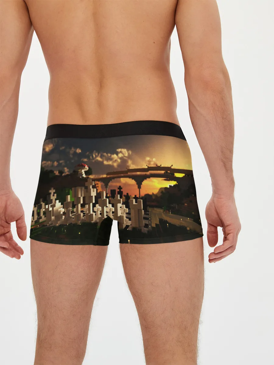 Мужские трусы боксеры / MINECRAFT