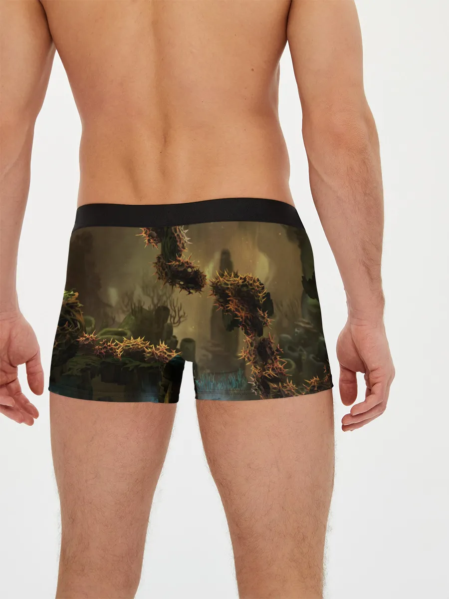 Мужские трусы боксеры / Ori and the Blind Forest