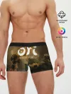 Мужские трусы боксеры / Ori and the Blind Forest