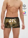 Мужские трусы боксеры / Ori and the Blind Forest
