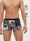 Мужские трусы боксеры / Много котов