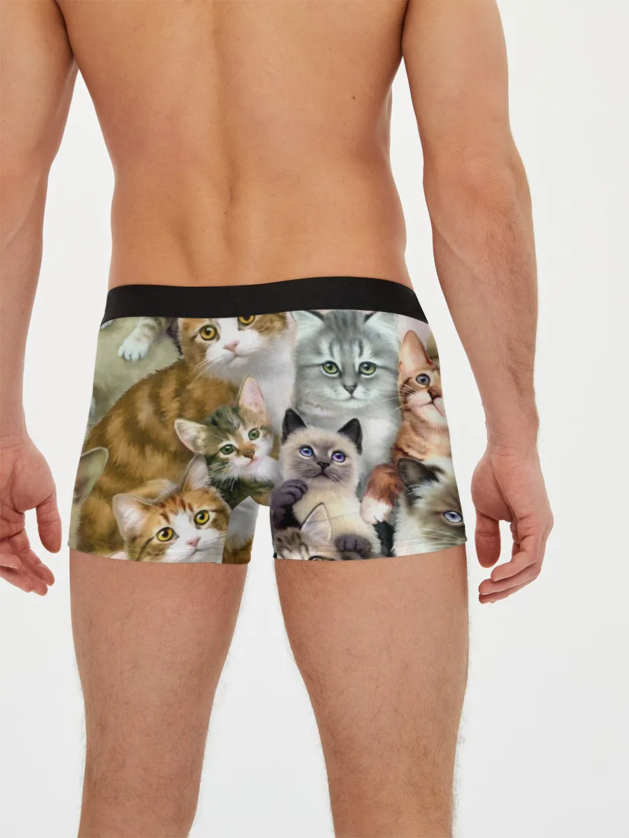 Мужские трусы боксеры / Котишики