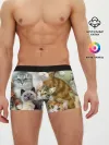 Мужские трусы боксеры / Котишики