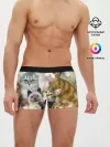 Мужские трусы боксеры / Котишики