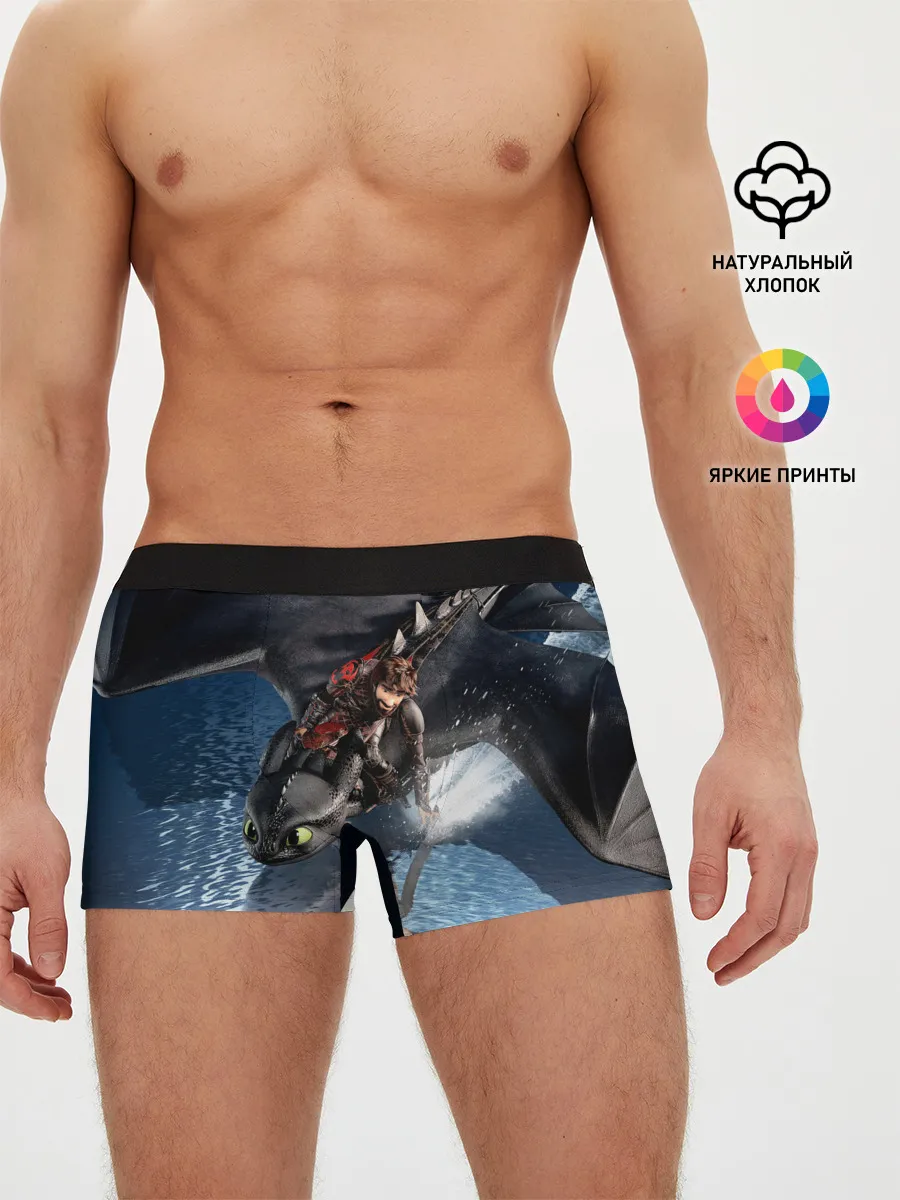 Мужские трусы боксеры / ночная фурия