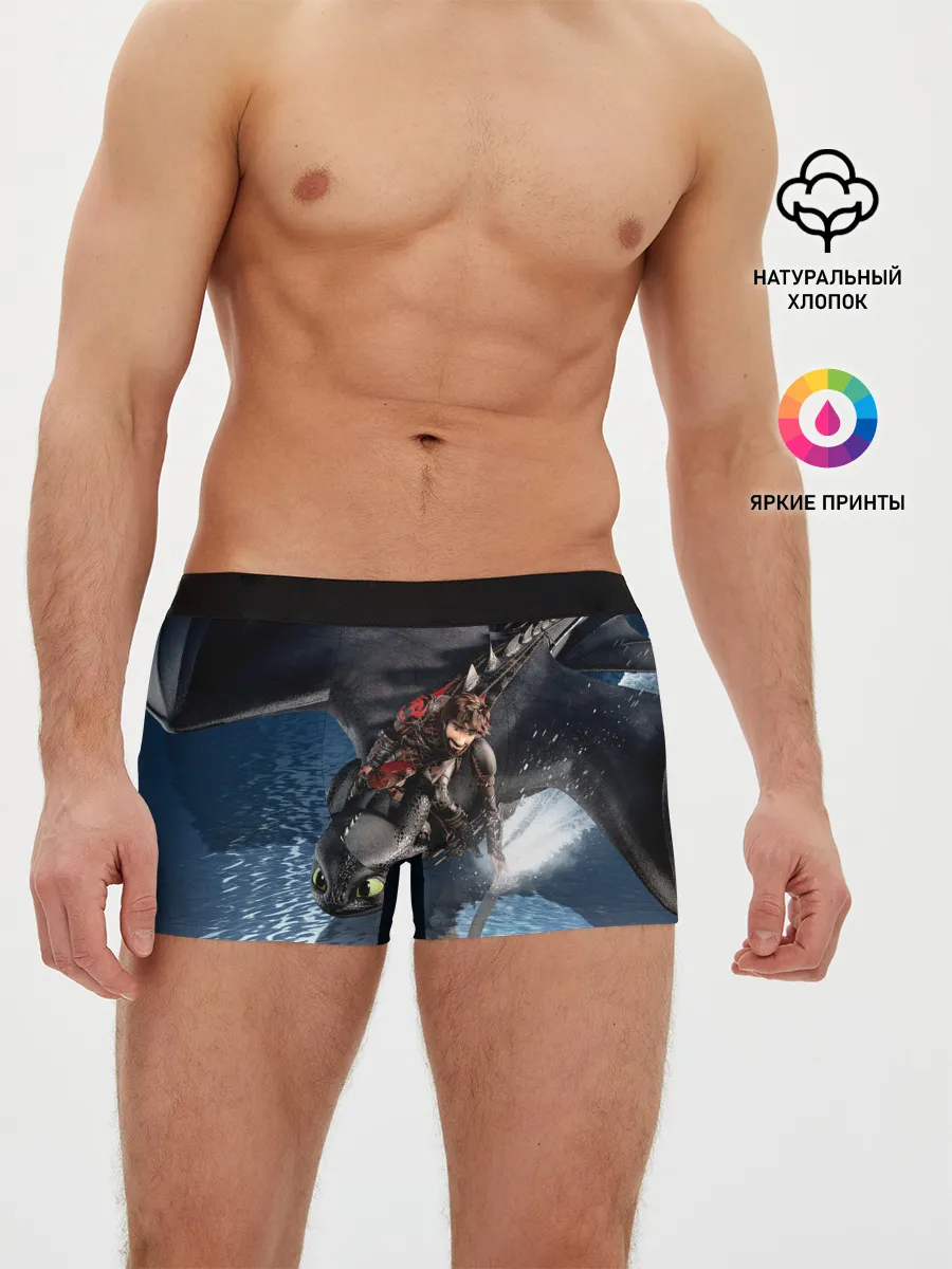 Мужские трусы боксеры / ночная фурия