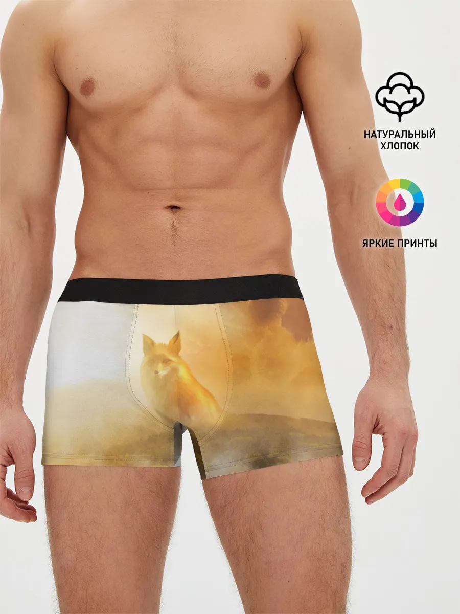Мужские трусы боксеры / Лисичка в тумане