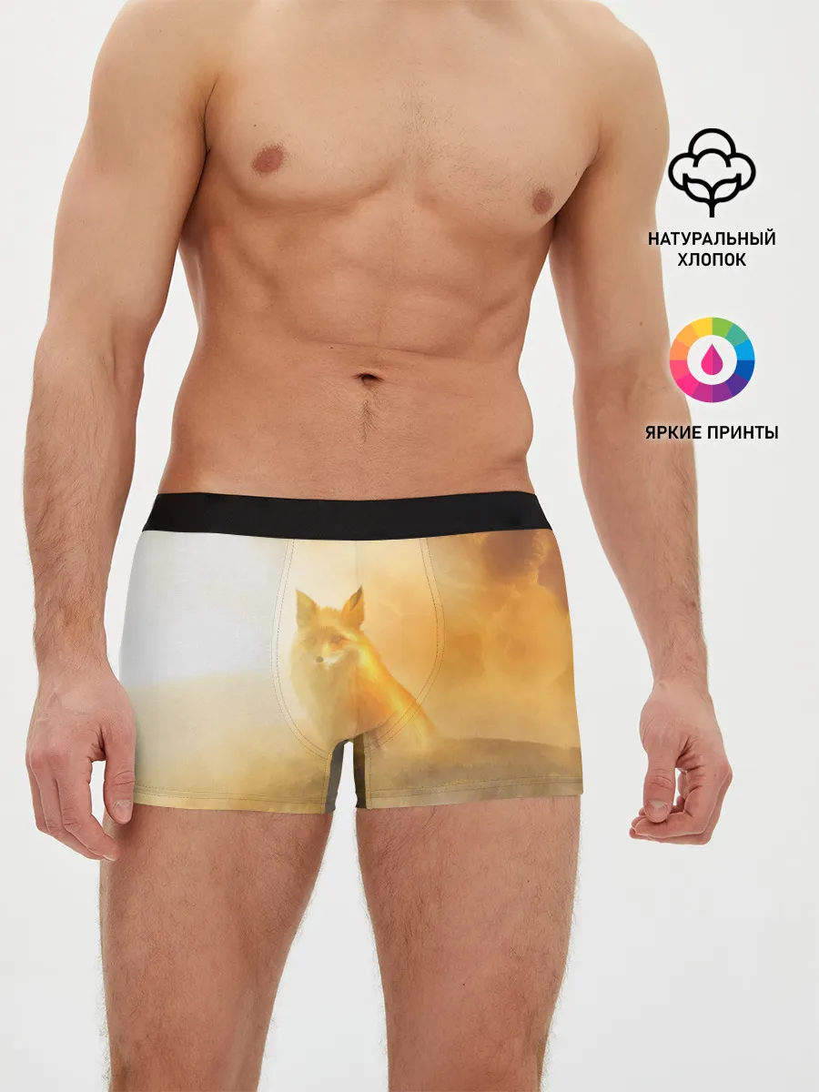 Мужские трусы боксеры / Лисичка в тумане
