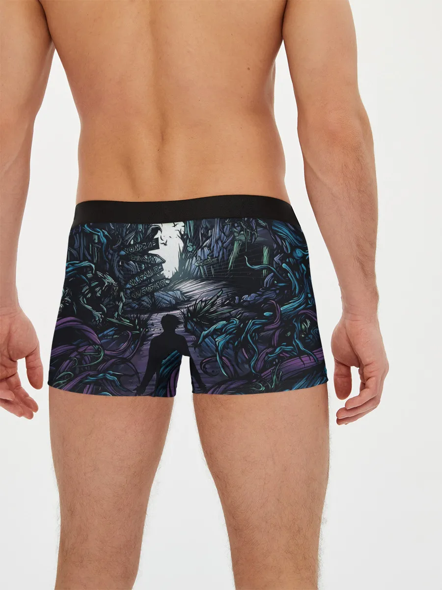 Мужские трусы боксеры / Rammstein