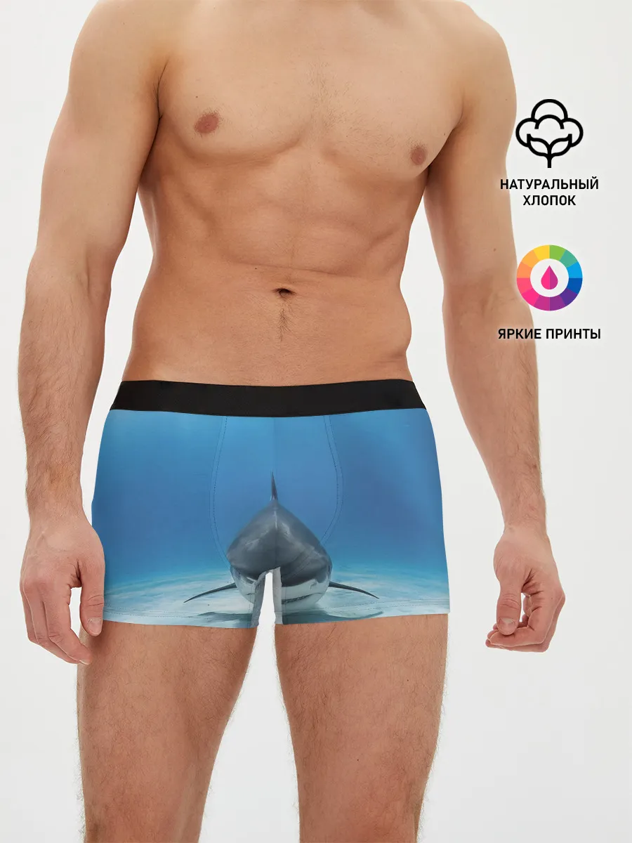 Мужские трусы боксеры / Анфас