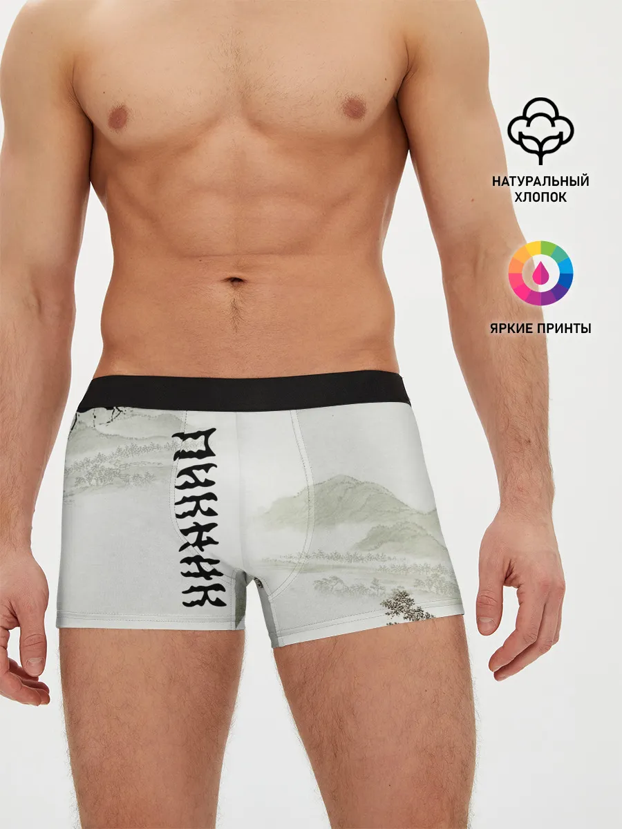 Мужские трусы боксеры / Пикник