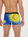 Мужские трусы боксеры / КРАСКИ ВАНГОГА