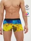 Мужские трусы боксеры / ВАНГОГ НОЧНОЕ ПОЛЕ