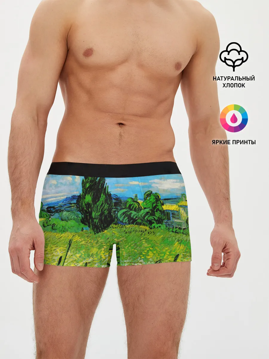 Мужские трусы боксеры / ВАНГОГ