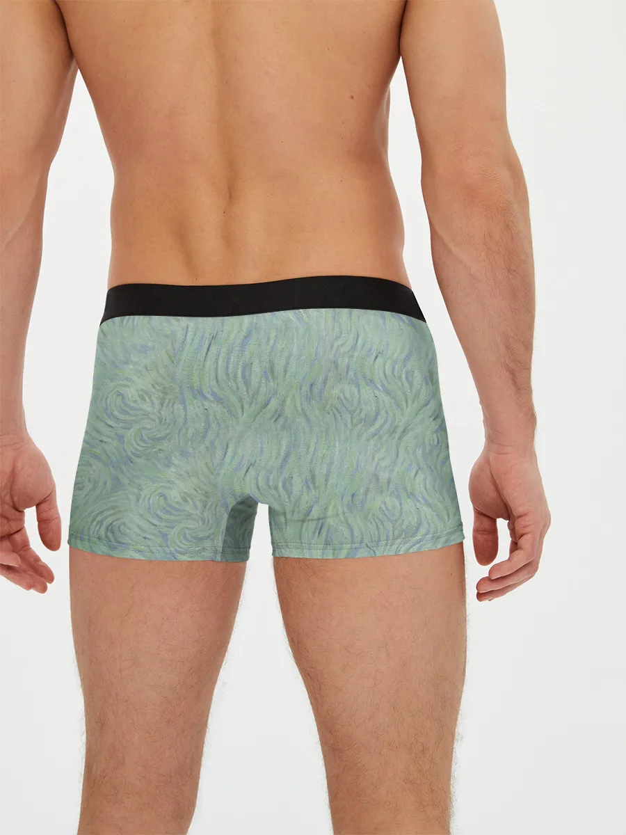 Мужские трусы боксеры / Ван Гог