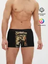 Мужские трусы боксеры / Sabaton