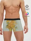 Мужские трусы боксеры / Подсолнухи
