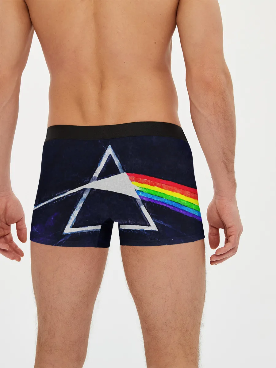 Мужские трусы боксеры / PINK FLOYD