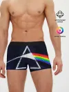 Мужские трусы боксеры / PINK FLOYD