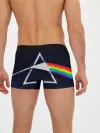 Мужские трусы боксеры / PINK FLOYD