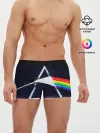 Мужские трусы боксеры / PINK FLOYD