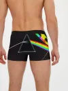 Мужские трусы боксеры / PINK FLOYD