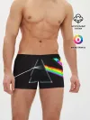 Мужские трусы боксеры / PINK FLOYD