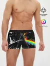 Мужские трусы боксеры / PINK FLOYD
