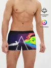 Мужские трусы боксеры / PINK FLOYD