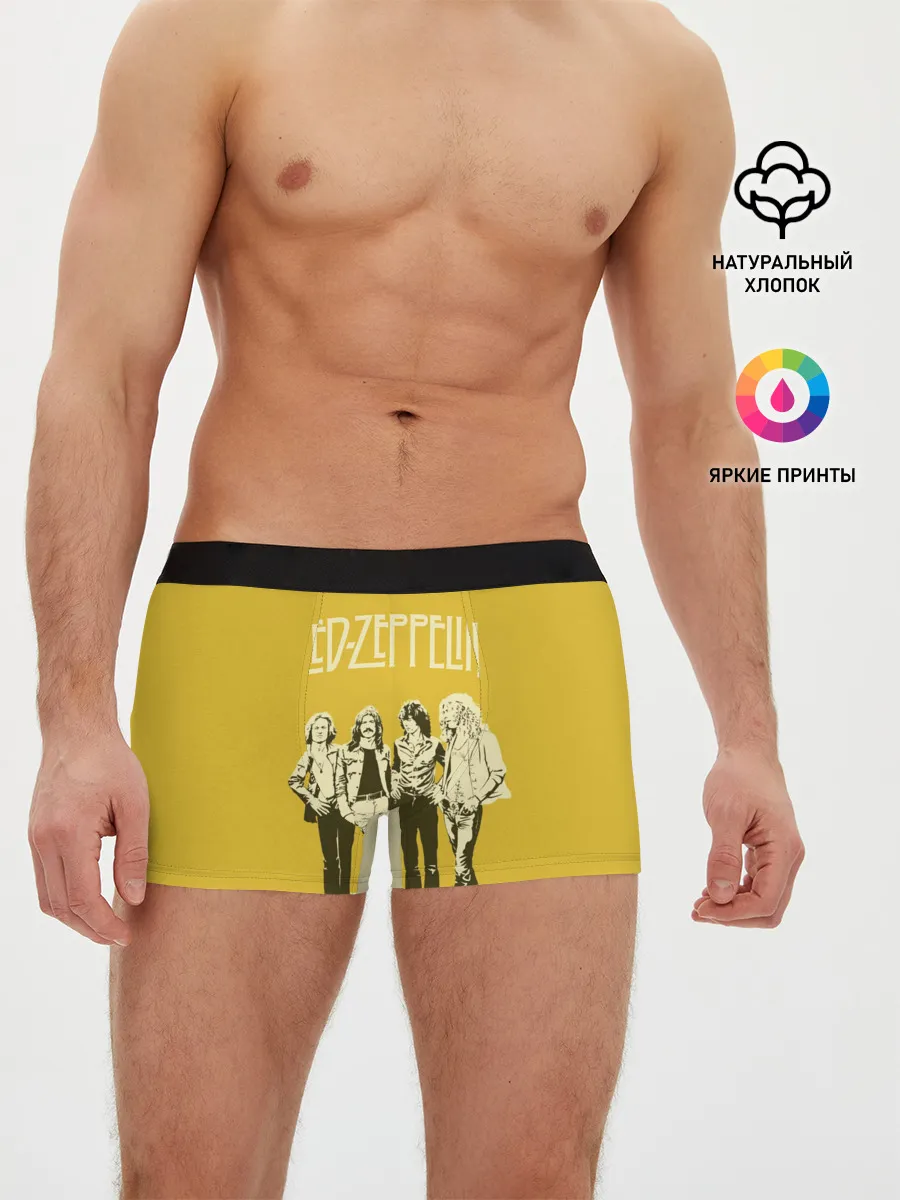Мужские трусы боксеры / Led Zeppelin
