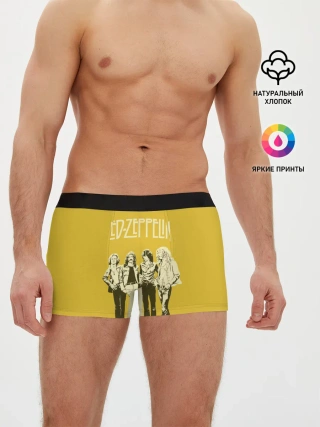 Мужские трусы боксеры / Led Zeppelin
