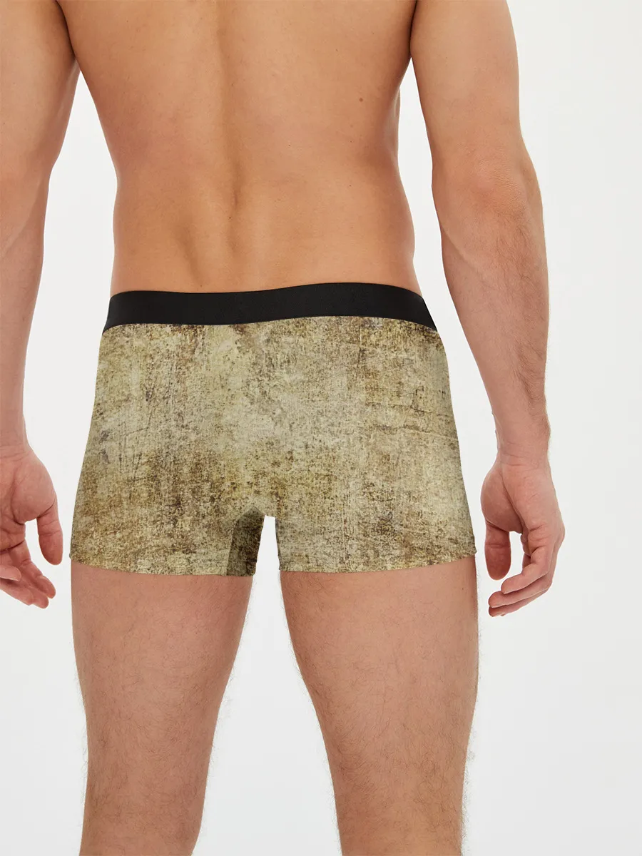 Мужские трусы боксеры / Led Zeppelin