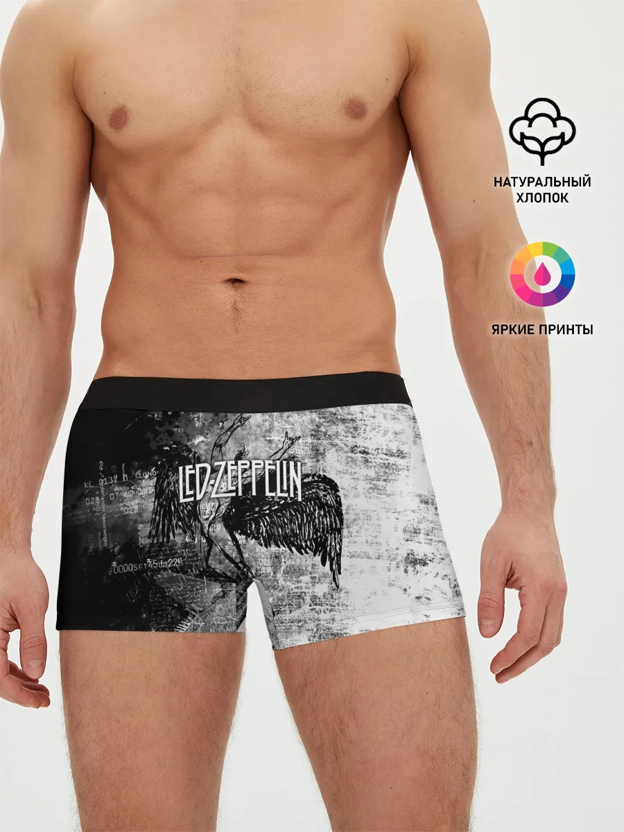 Мужские трусы боксеры / Led Zeppelin