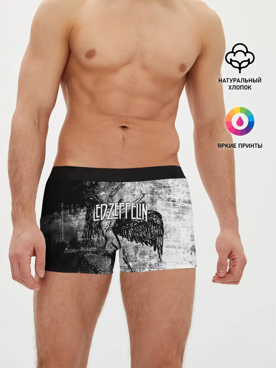 Мужские трусы боксеры / Led Zeppelin