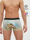 Мужские трусы боксеры / Рыба