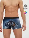 Мужские трусы боксеры / Кот космонавт