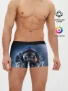 Мужские трусы боксеры / Кот космонавт