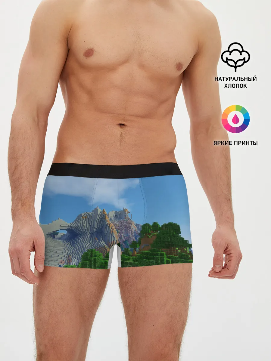 Мужские трусы боксеры / Minecraft